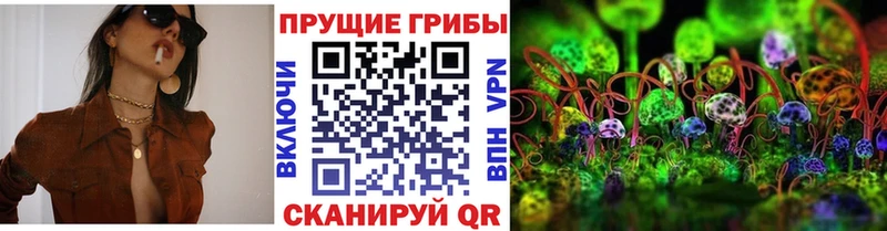 Галлюциногенные грибы GOLDEN TEACHER Лысьва